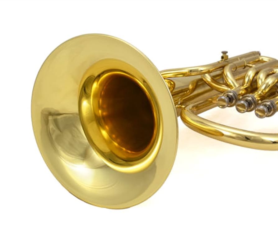 ユーフォニアム バリトン　ゴールド ケース付き Amazon.co.jp: 金管ユーフォニアム ケース付きの高級3ピストン